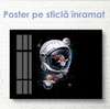 Poster - Costum spațial astronaut și pește, 60 x 30 см, Panza pe cadru