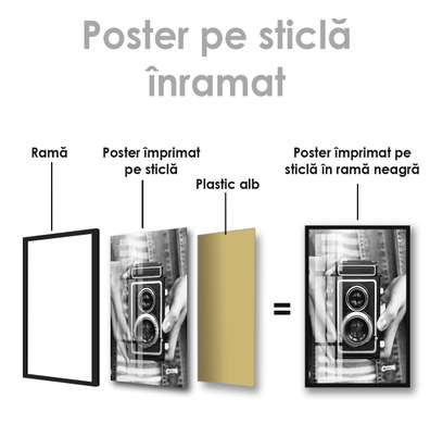 Poster - Aparat foto, 30 x 45 см, Panza pe cadru