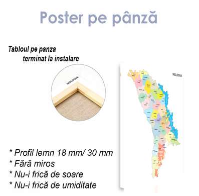 Poster - Harta politică a Republicii Moldova, 30 x 45 см, Panza pe cadru