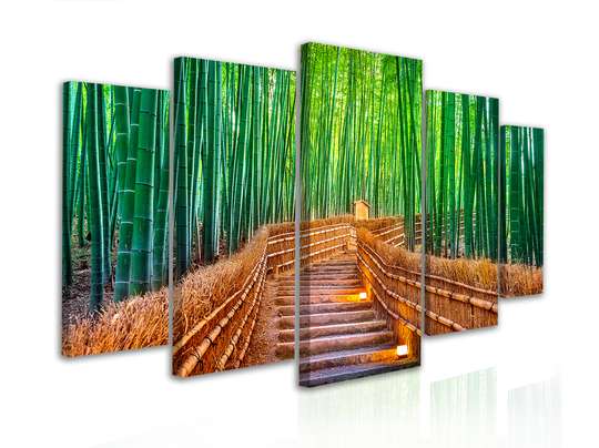 Модульная картина, Тропинка в бамбуковом лесу, 108 х 60