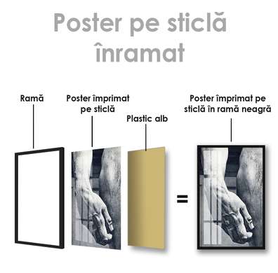 Poster - Hand, 30 x 45 см, Canvas on frame, Black & White