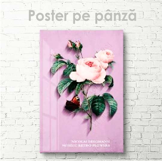 Poster, Trandafir de culoare nude, 30 x 45 см, Panza pe cadru