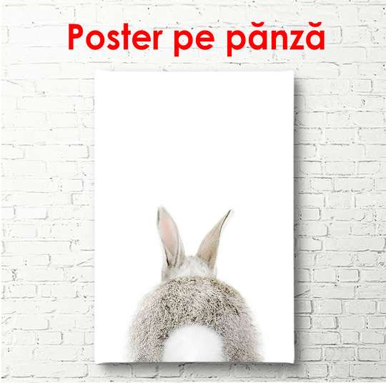 Постер - Заяц вид сзади на белом фоне, 60 x 90 см, Постер в раме, Минимализм