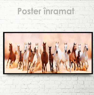 Poster, O turmă de cai sălbatici, 90 x 30 см, Panza pe cadru