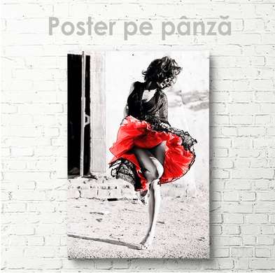 Poster - Red skirt, 30 x 45 см, Canvas on frame