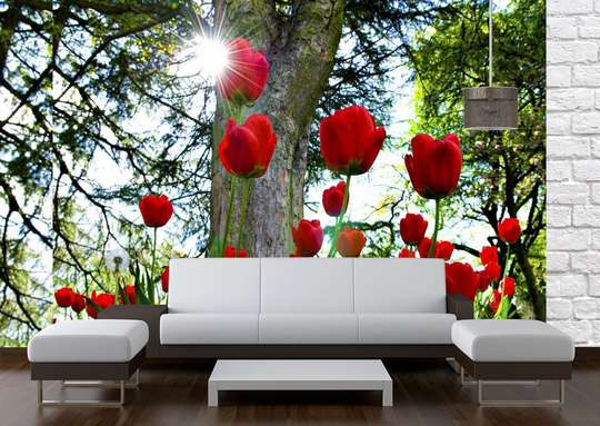 Wall Mural - Red tulips in the park