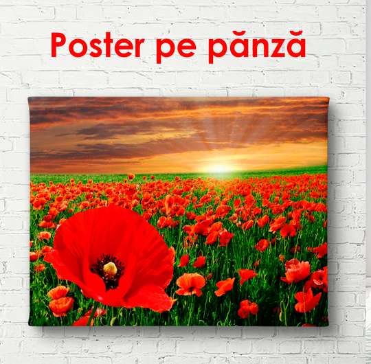 Poster - Abstract beige flowers, 90 x 60 см, Framed poster, Flowers