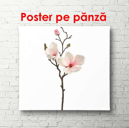 Poster - Twig with pink flowers, 100 x 100 см, Framed poster, Minimalism