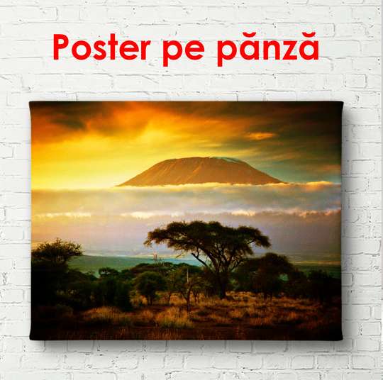 Постер - Парк на закате, 90 x 60 см, Постер в раме, Природа