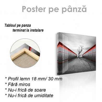 Poster - Vârful unui copac gol, 40 x 40 см, Panza pe cadru
