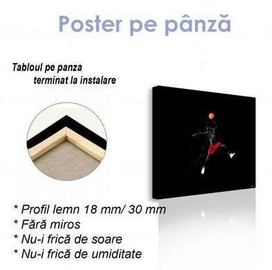 Poster - Baschet, 40 x 40 см, Panza pe cadru