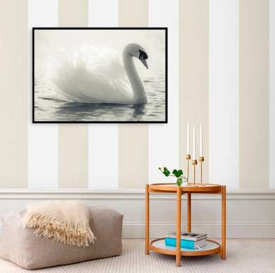 Poster, White swan, 45 x 30 см, Canvas on frame