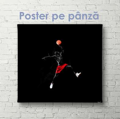Poster - Baschet, 40 x 40 см, Panza pe cadru