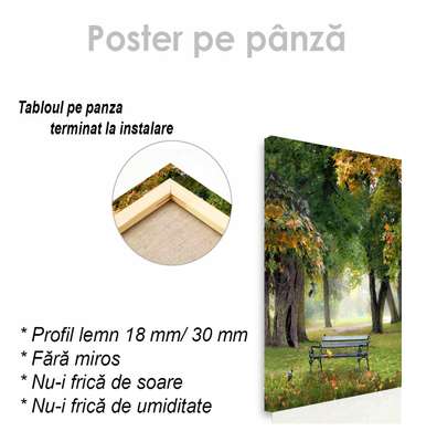 Poster - Bancă în parc, 30 x 45 см, Panza pe cadru