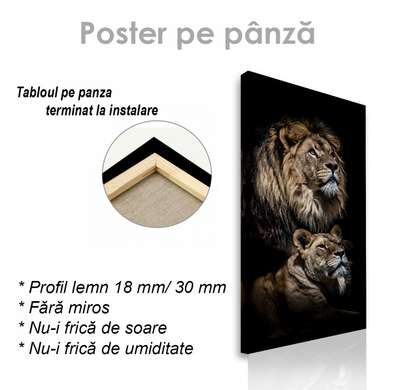 Poster, Leu, 30 x 60 см, Panza pe cadru