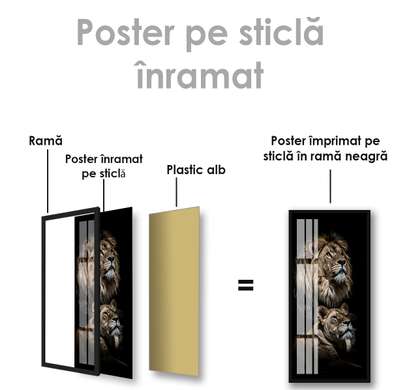 Poster, Leu, 30 x 60 см, Panza pe cadru