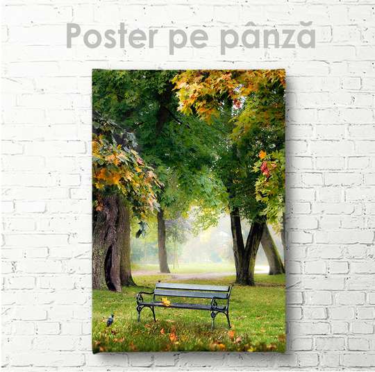 Poster - Bench in the park, 30 x 45 см, Canvas on frame, Nature