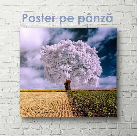 Постер - Фиолетовое дерево в пшеничном поле, 40 x 40 см, Холст на подрамнике, Природа