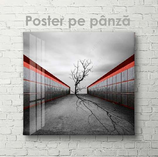 Poster - Empty Tree Top, 40 x 40 см, Canvas on frame, Nature