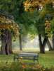 Poster - Bench in the park, 30 x 45 см, Canvas on frame