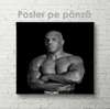 Poster - Mike Tyson, 40 x 40 см, Panza pe cadru