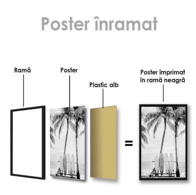 Poster - Placi de surf, 30 x 45 см, Panza pe cadru