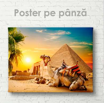 Poster - Egipt - Piramida - Cămilă și apus, 45 x 30 см, Panza pe cadru