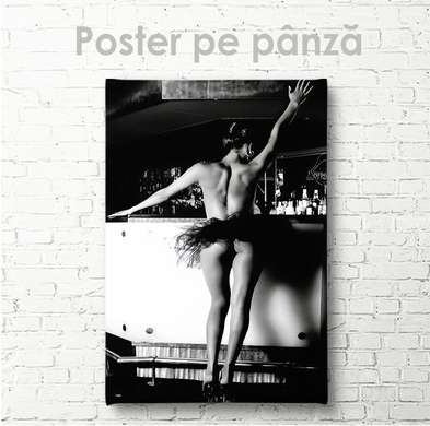 Poster - Fustă mini, 30 x 45 см, Panza pe cadru