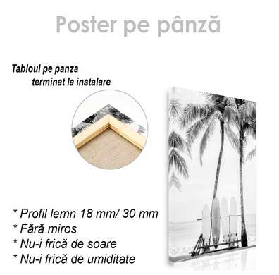 Poster - Placi de surf, 30 x 45 см, Panza pe cadru