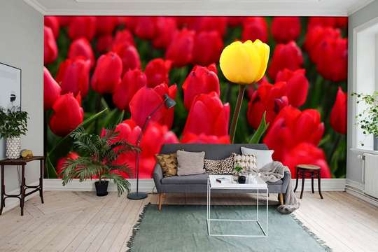 Wall Mural - Yellow tulip among red