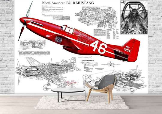 Wall Mural - Red plane on the background of the scheme of the aircraft.