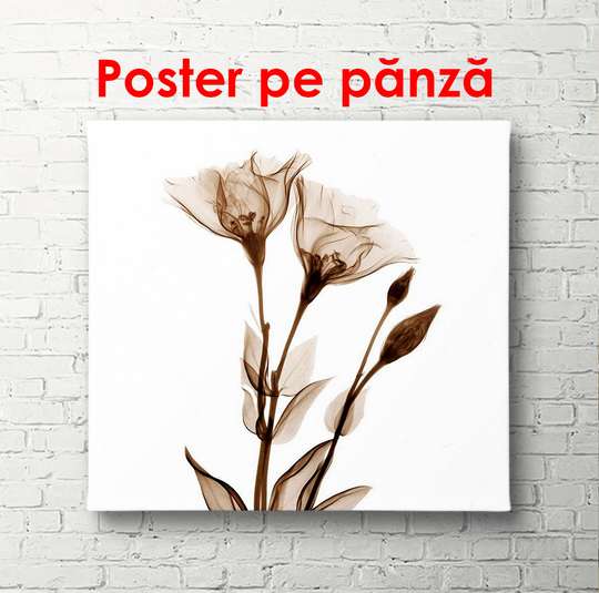 Постер - Коричневые цветы на белом фоне, 100 x 100 см, Постер в раме, Прованс