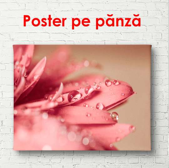 Постер - Розовый цветок, 90 x 60 см, Постер в раме, Цветы