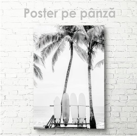 Постер, Серф доски, 30 x 45 см, Холст на подрамнике