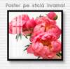 Постер - Розовые пионы, 40 x 40 см, Холст на подрамнике, Цветы