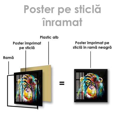 Poster, O maimuță, 40 x 40 см, Panza pe cadru