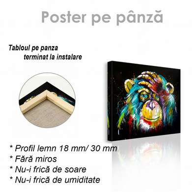 Poster, Monkey, 40 x 40 см, Canvas on frame