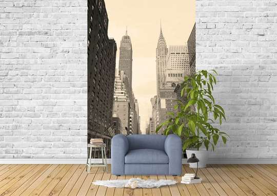 Wall Mural - City in monotone colors