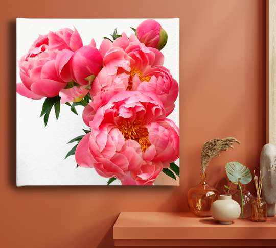 Poster - Bujori roz, 40 x 40 см, Panza pe cadru, Flori