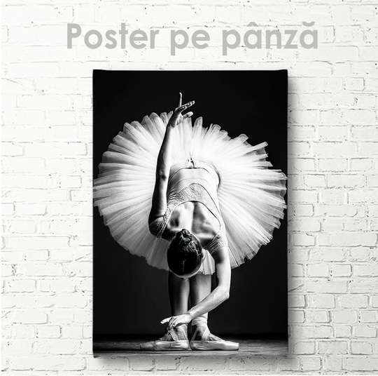 Постер, Балерина, 30 x 45 см, Холст на подрамнике