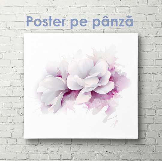 Постер - Белый цветок с фиолетовым контуром, 100 x 100 см, Постер на Стекле в раме, Цветы