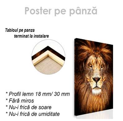 Poster, Regele Leu, 30 x 45 см, Panza pe cadru