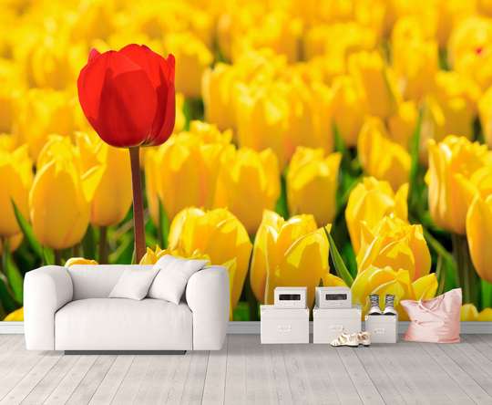 Фотообои - Красный тюльпан среди желтых