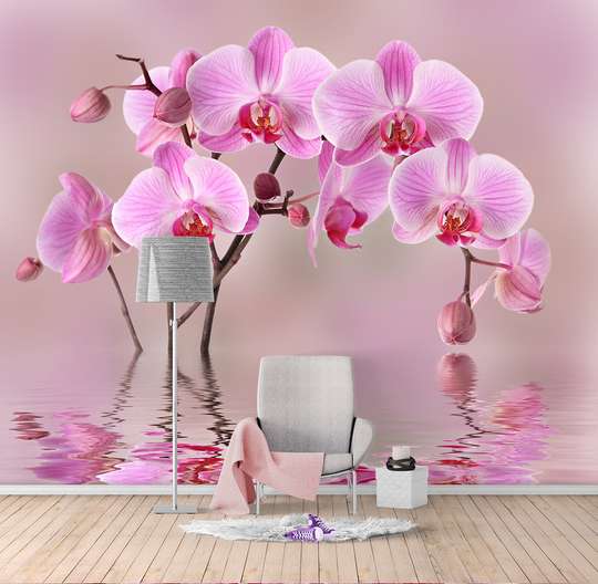 Wall Mural - Beautiful pink orchid on a pink background in water reflection
