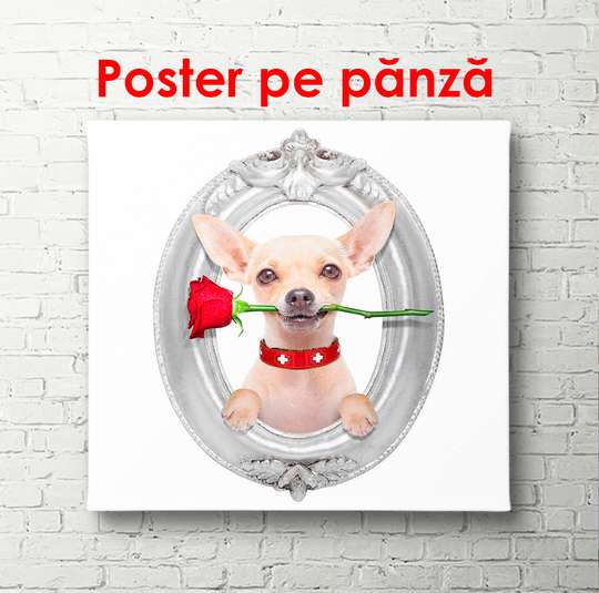 Постер - Собачка с розой, 100 x 100 см, Постер в раме, Минимализм