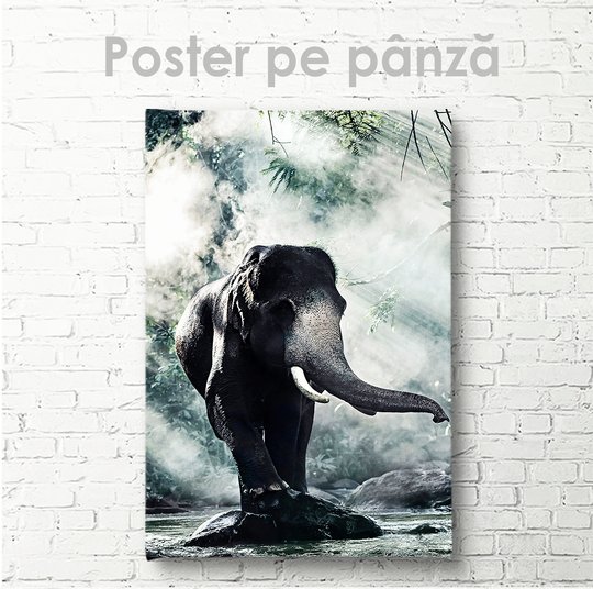 Постер, Слоник, 30 x 45 см, Холст на подрамнике