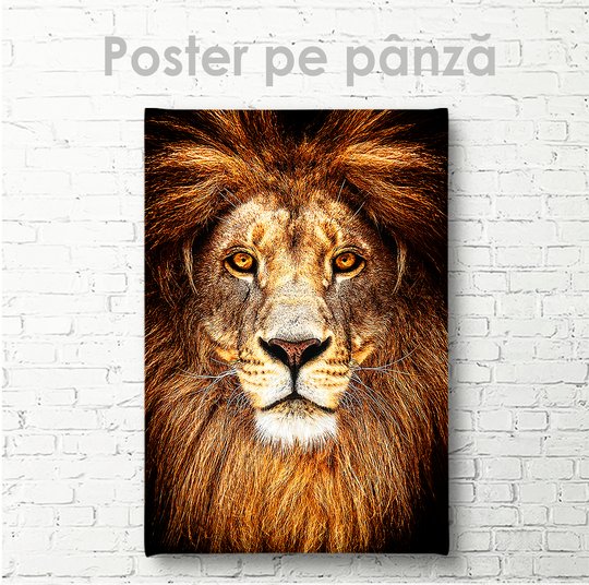 Постер, Король Лев, 30 x 45 см, Холст на подрамнике
