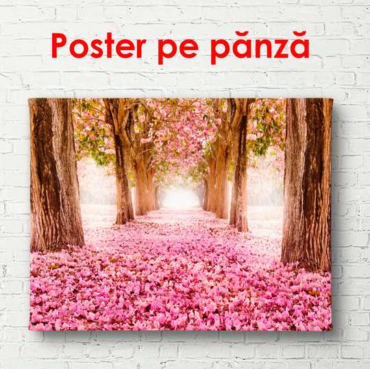 Постер - Розовый парк, 90 x 60 см, Постер в раме, Природа