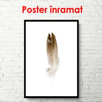 Poster - Feather, 30 x 45 см, Canvas on frame