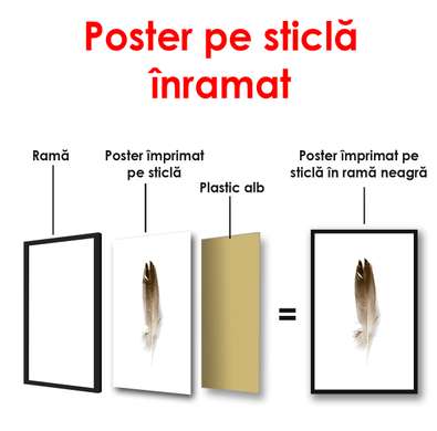 Poster - Pană, 30 x 45 см, Panza pe cadru